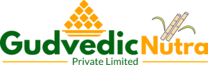 gudvedic logo design